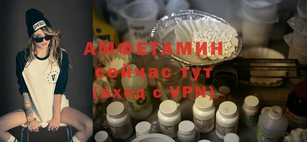 дурь Няндома