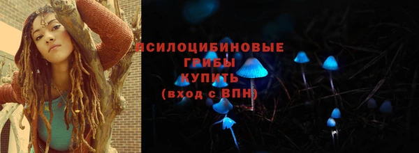дурь Няндома