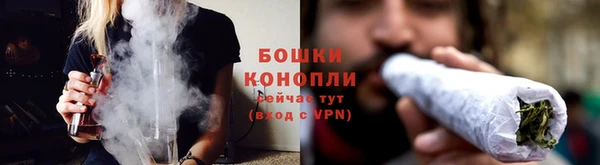 дурь Няндома