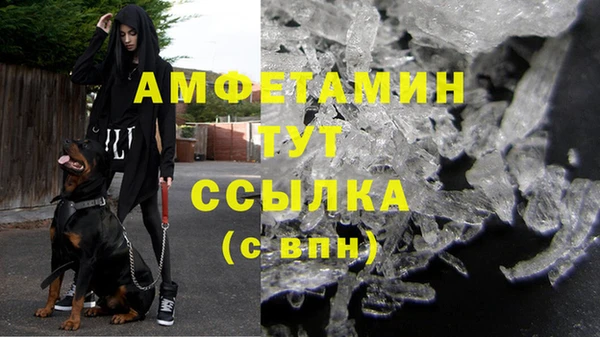 дурь Няндома