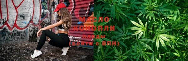 дурь Няндома