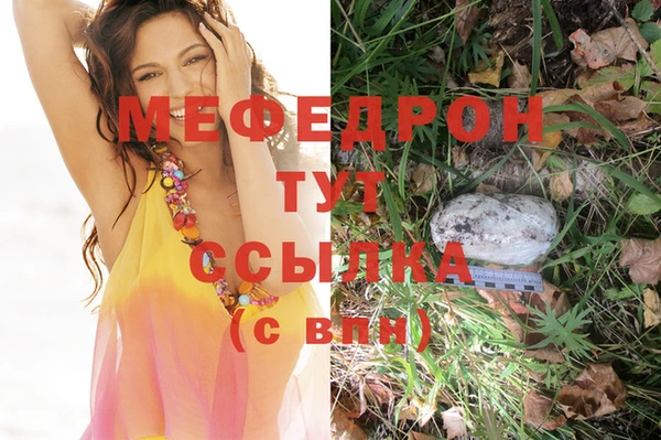 дурь Няндома
