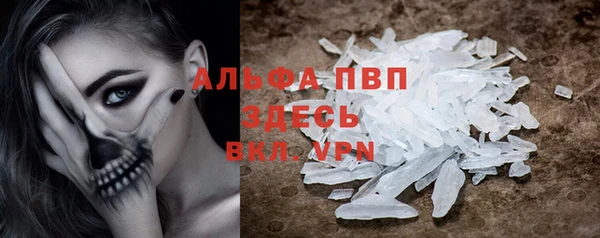 дурь Няндома