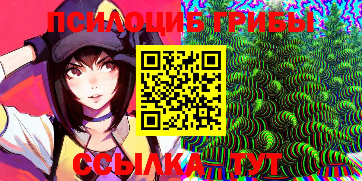 где можно купить   Вход с VPN  Усть-Кут  Галлюциногенные грибы Psilocybine cubensis 